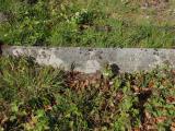 image of grave number 562933